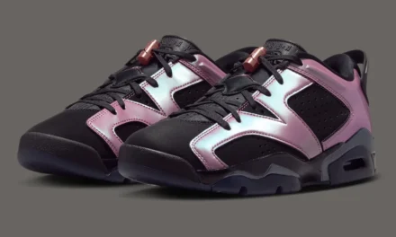 Air Jordan 6 Low “Metamorphosis” IX5195-001